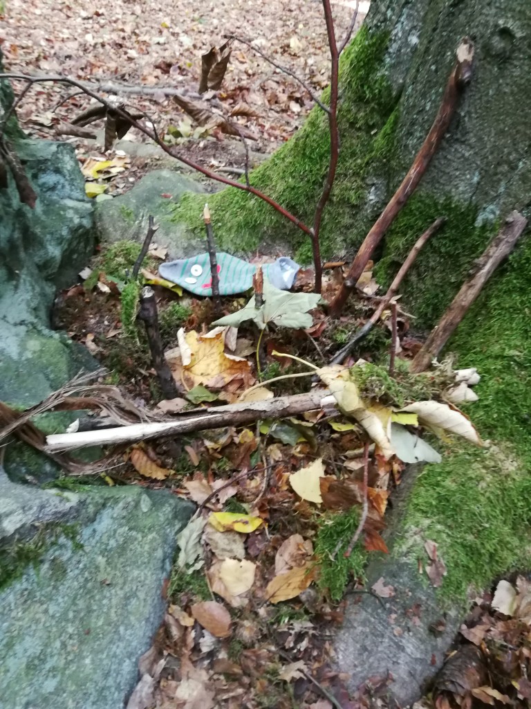 IMG_20181004_102309.jpg