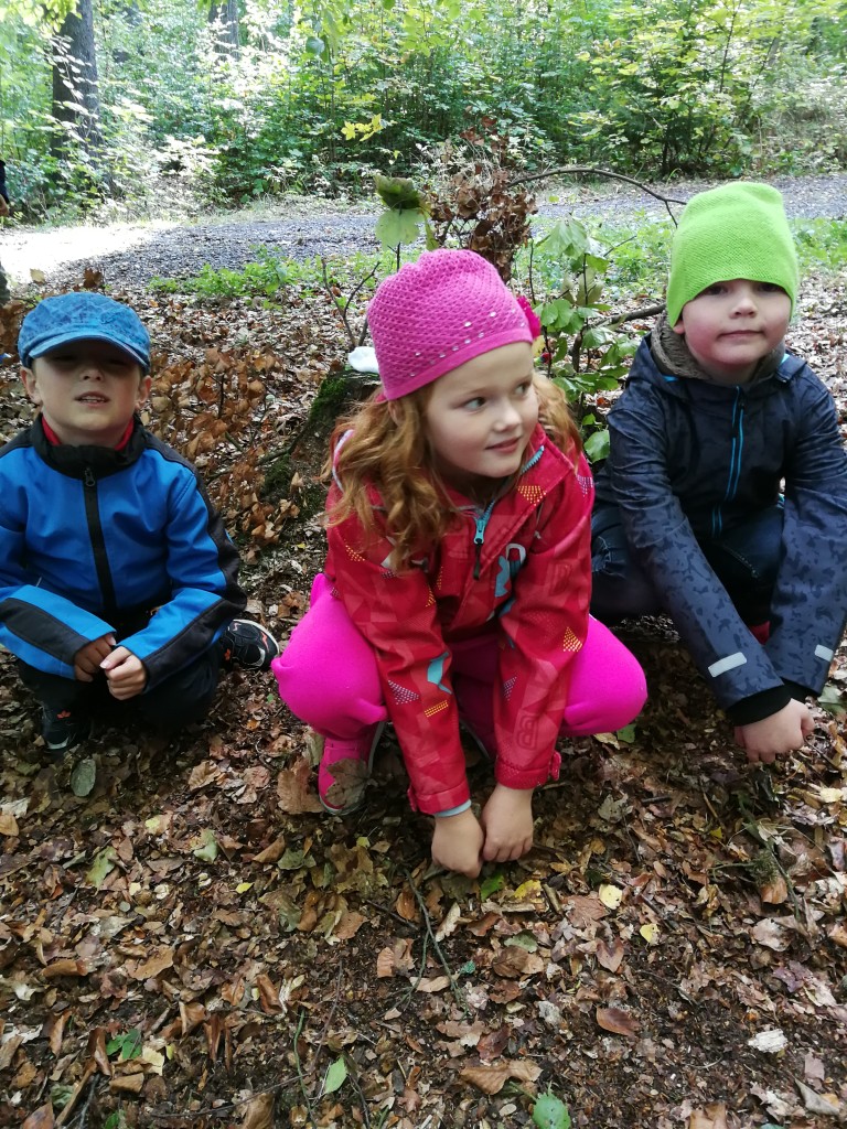 IMG_20181004_102427.jpg