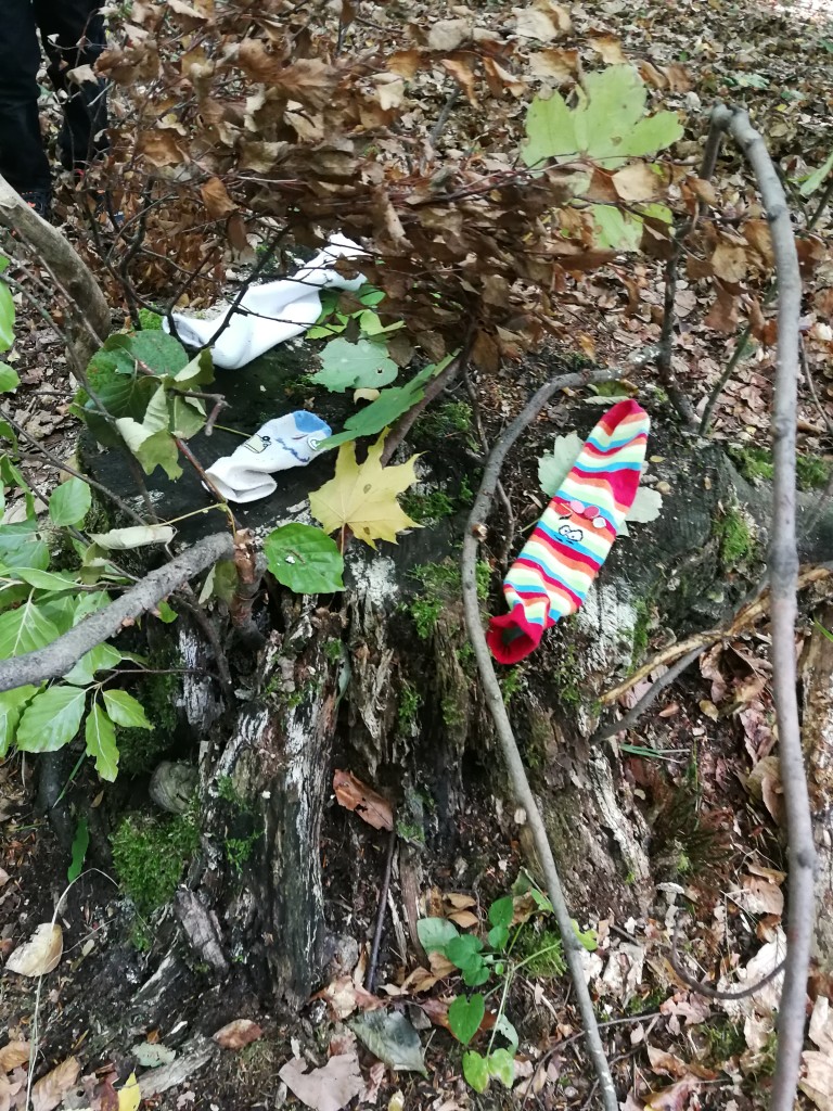IMG_20181004_102434.jpg