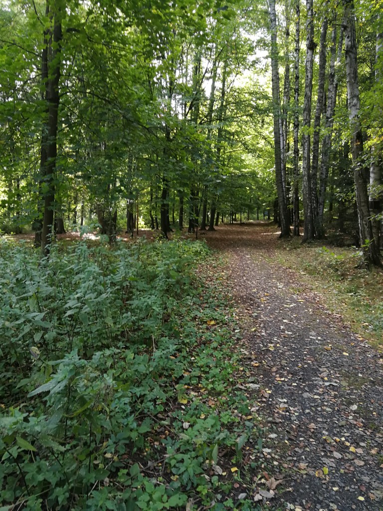 IMG_20181004_103023.jpg