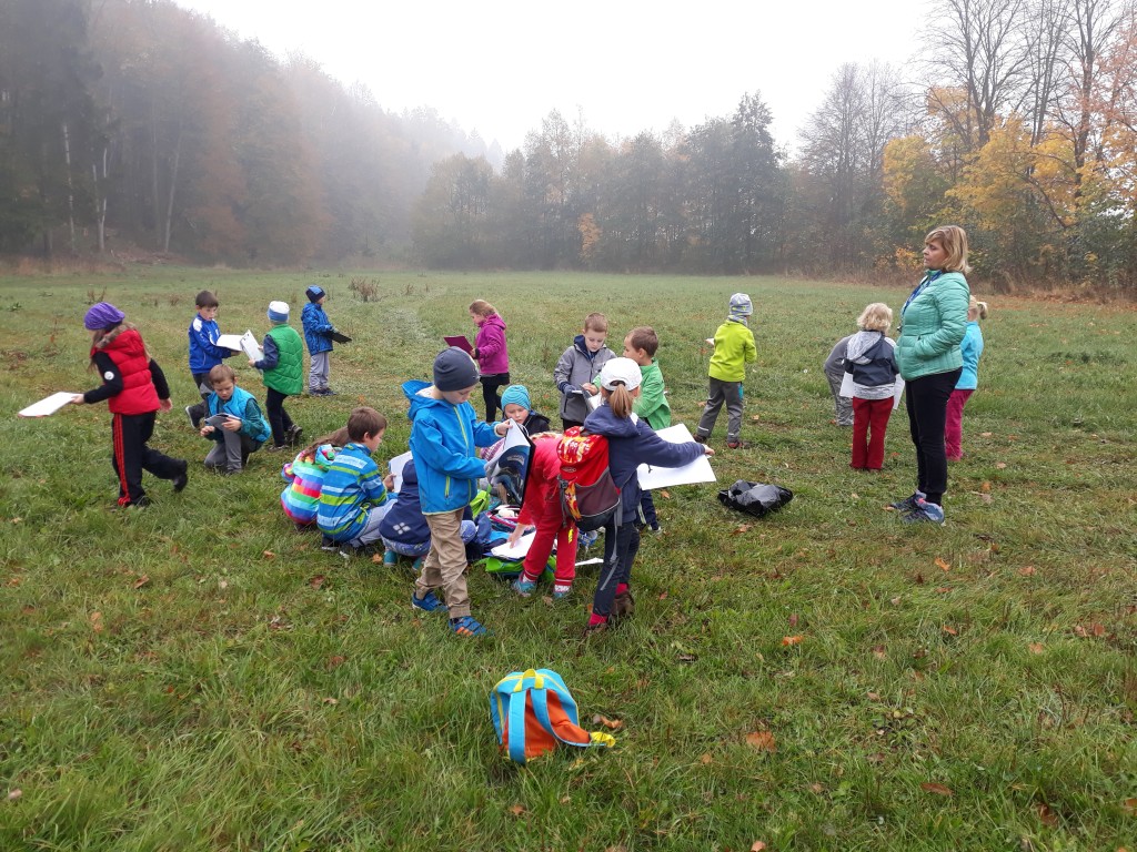 20181019_095453.jpg