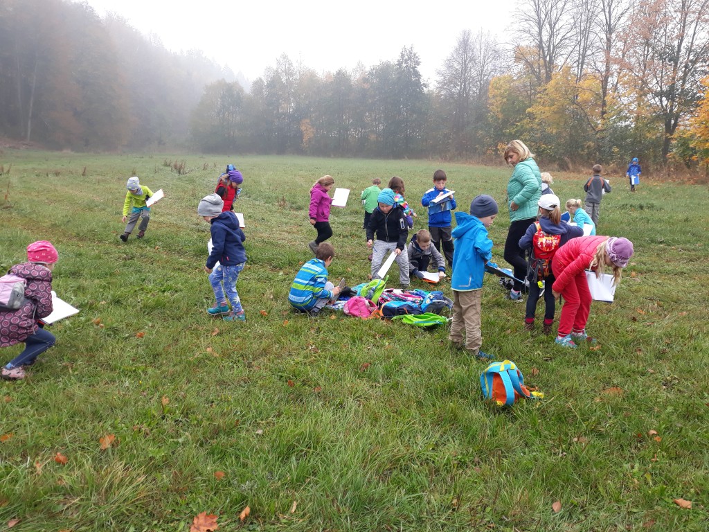20181019_095504.jpg