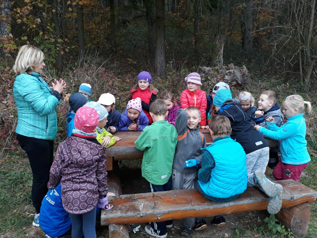 20181019_100639.jpg