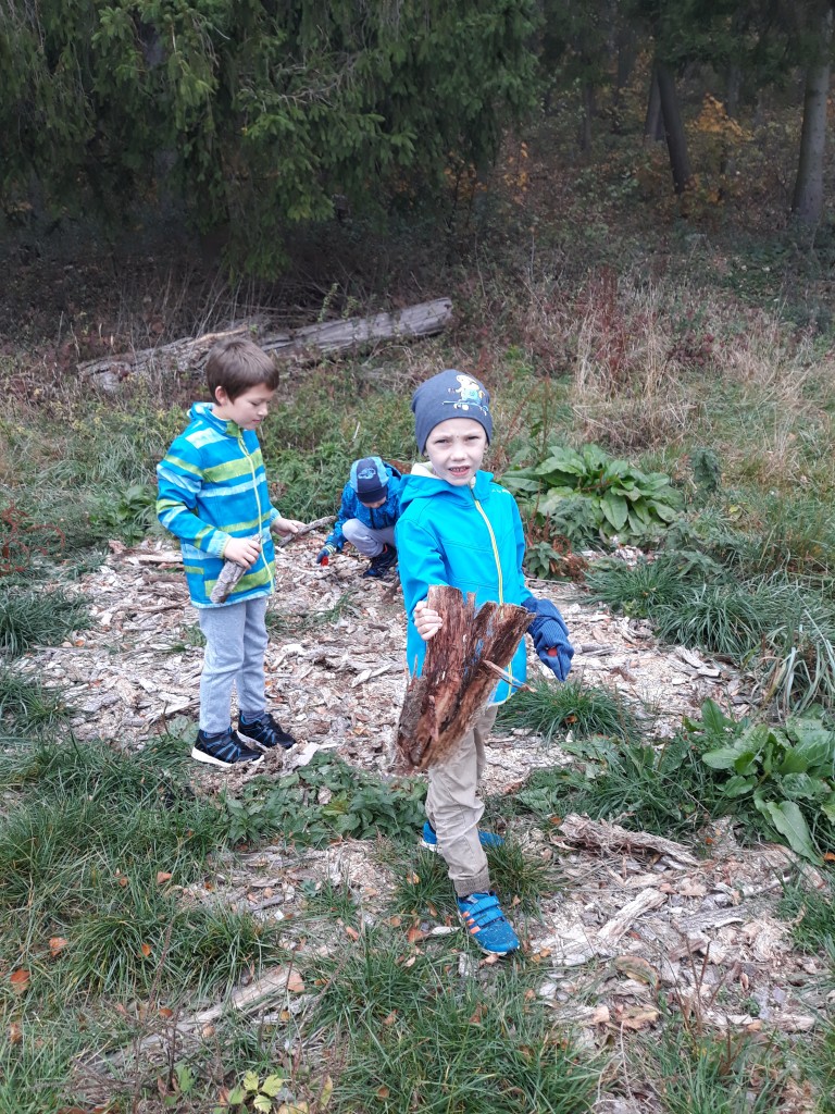 20181019_101242.jpg
