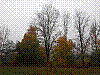 20181019_101207.jpg