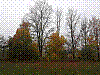 20181019_101213.jpg
