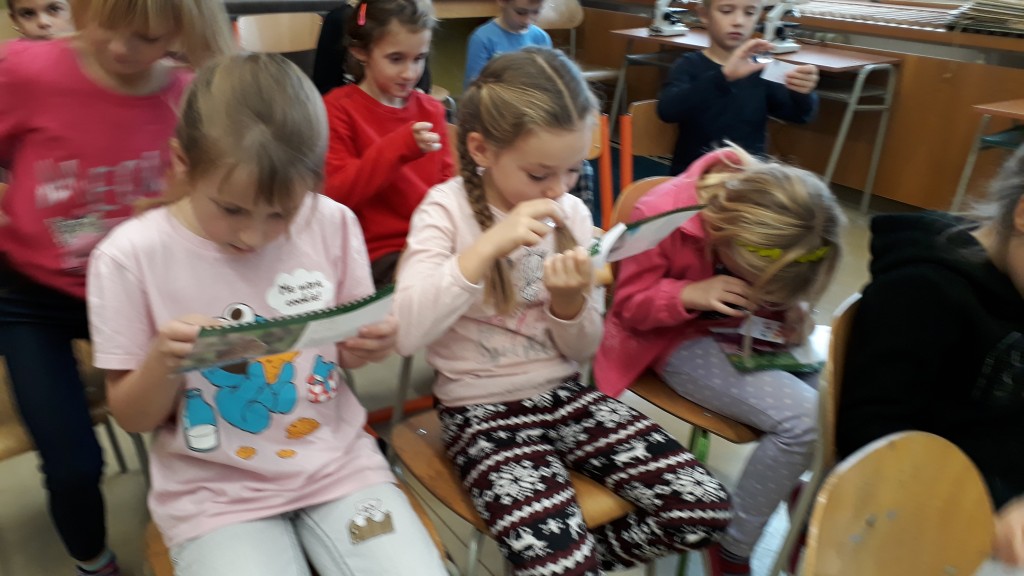 20181120_083103.jpg