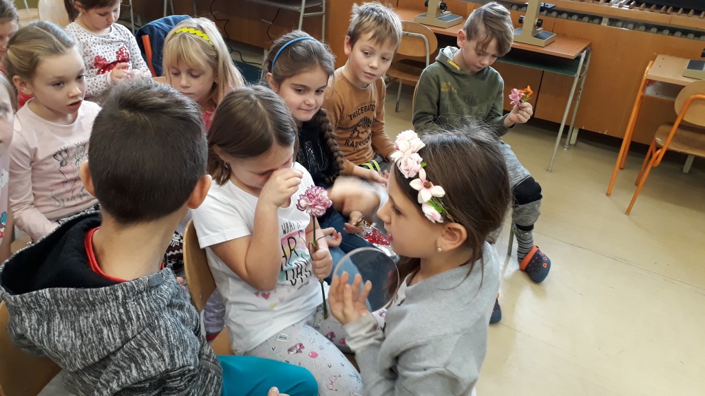 20181120_091042.jpg
