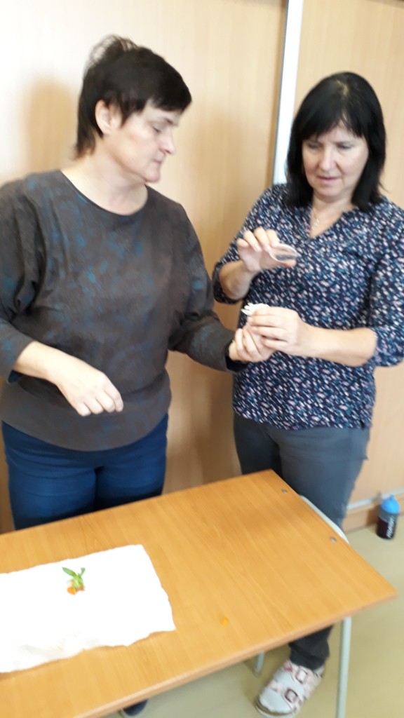 20181120_091203.jpg