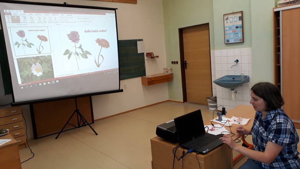 20181120_092936.jpg