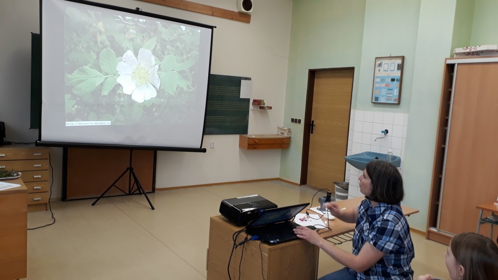 20181120_092945.jpg