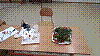 20181120_094002.jpg