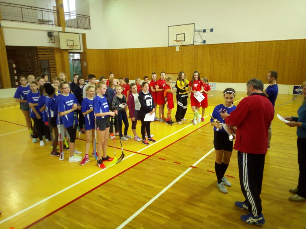 Fl.-ml.d.-2.m.MT-28.11.2018.jpg