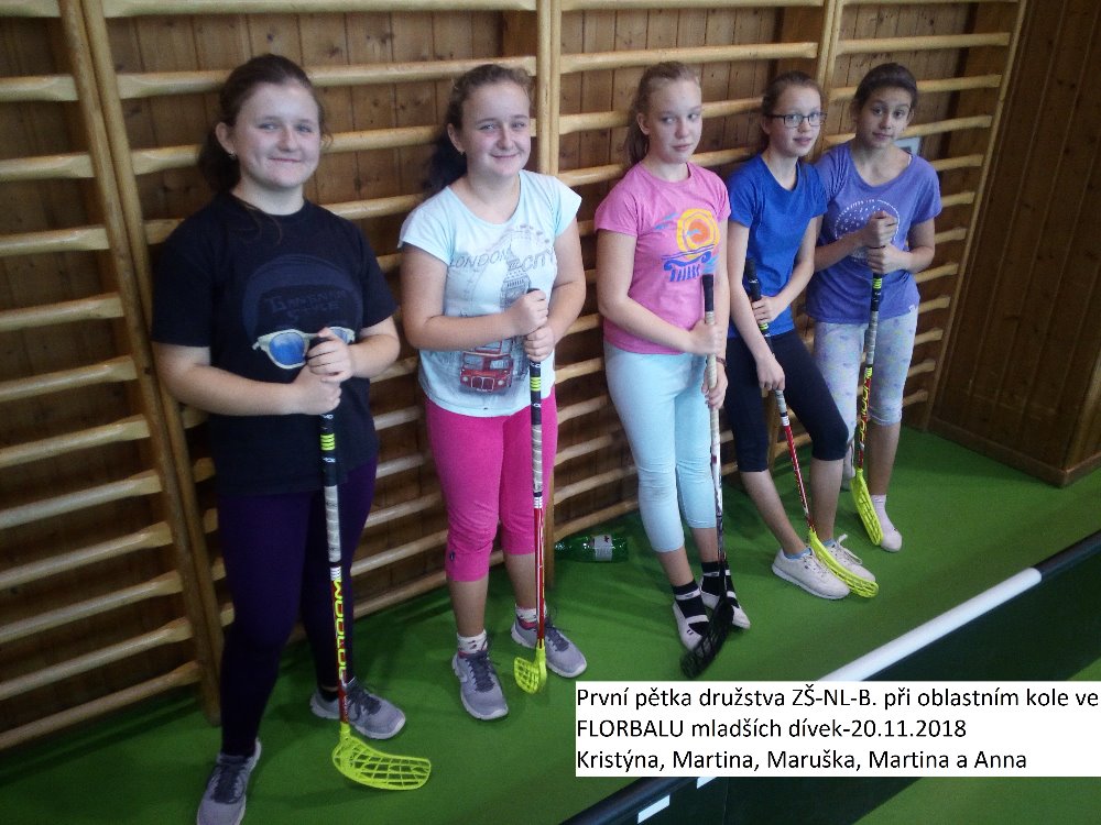 Flor.ml.d.-B.-1.petka-ob.k.20.11.18.jpg