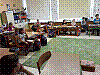 20181107_105845.jpg