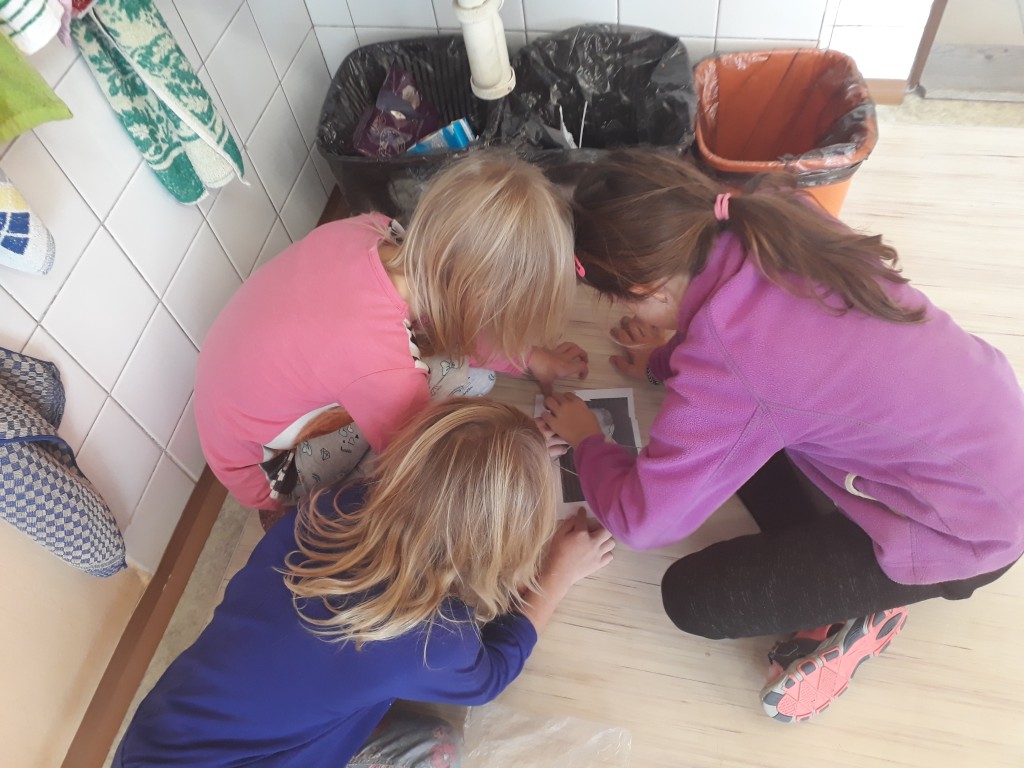 20181025_104437.jpg