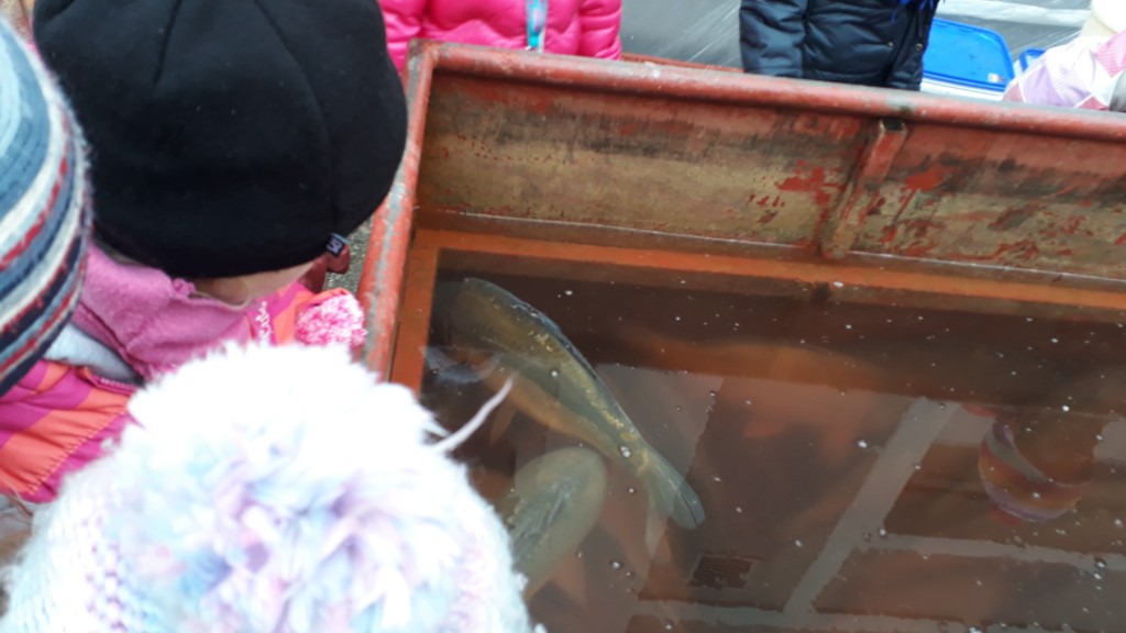 20181221_093253.jpg