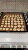 20181210_112418.jpg