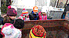 20181221_093204.jpg