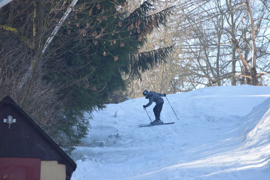 DSC_0049.jpg