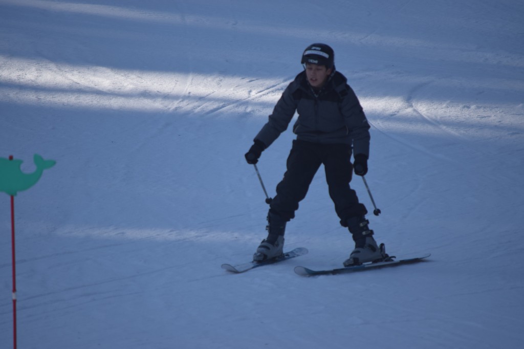 DSC_0065.jpg