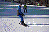 DSC_0096.jpg