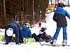 IMG_20190213_094741.jpg