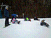 IMG_20190213_095253.jpg