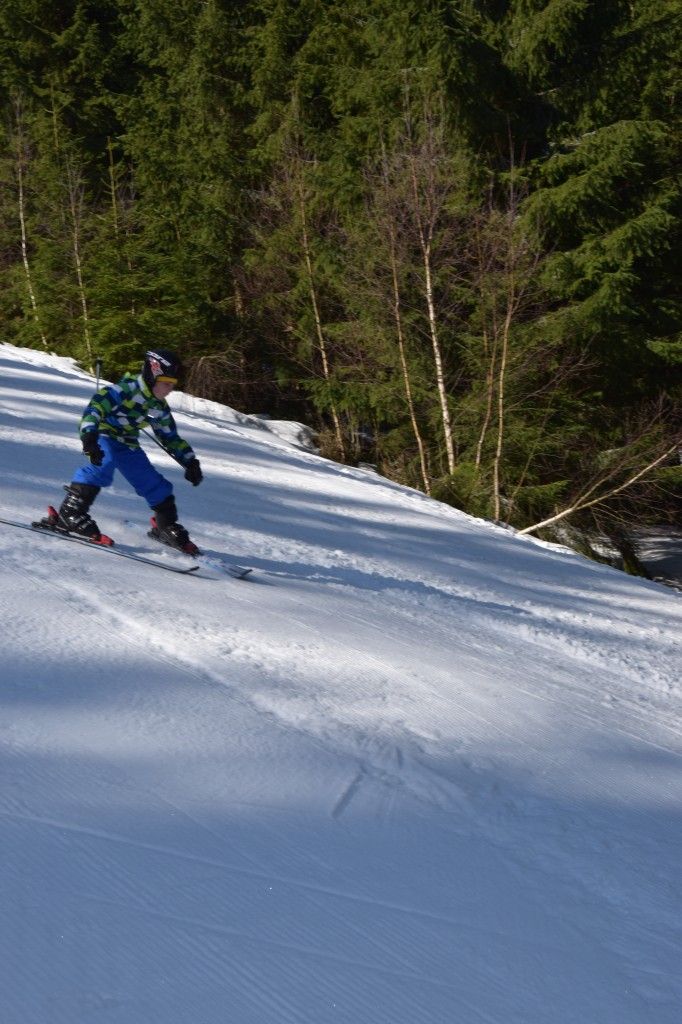 DSC_0031.jpg