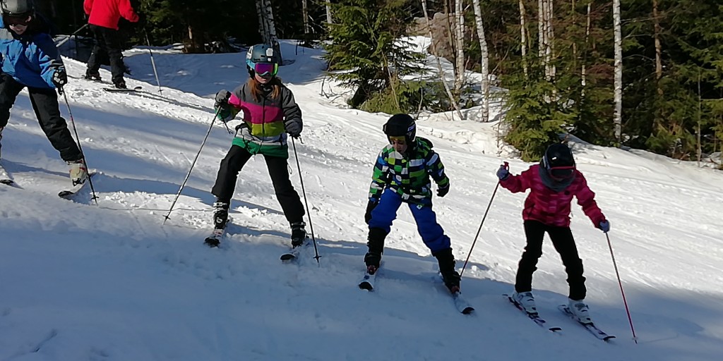 IMG_20190321_112947.jpg
