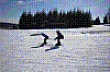 DSC_0046.jpg