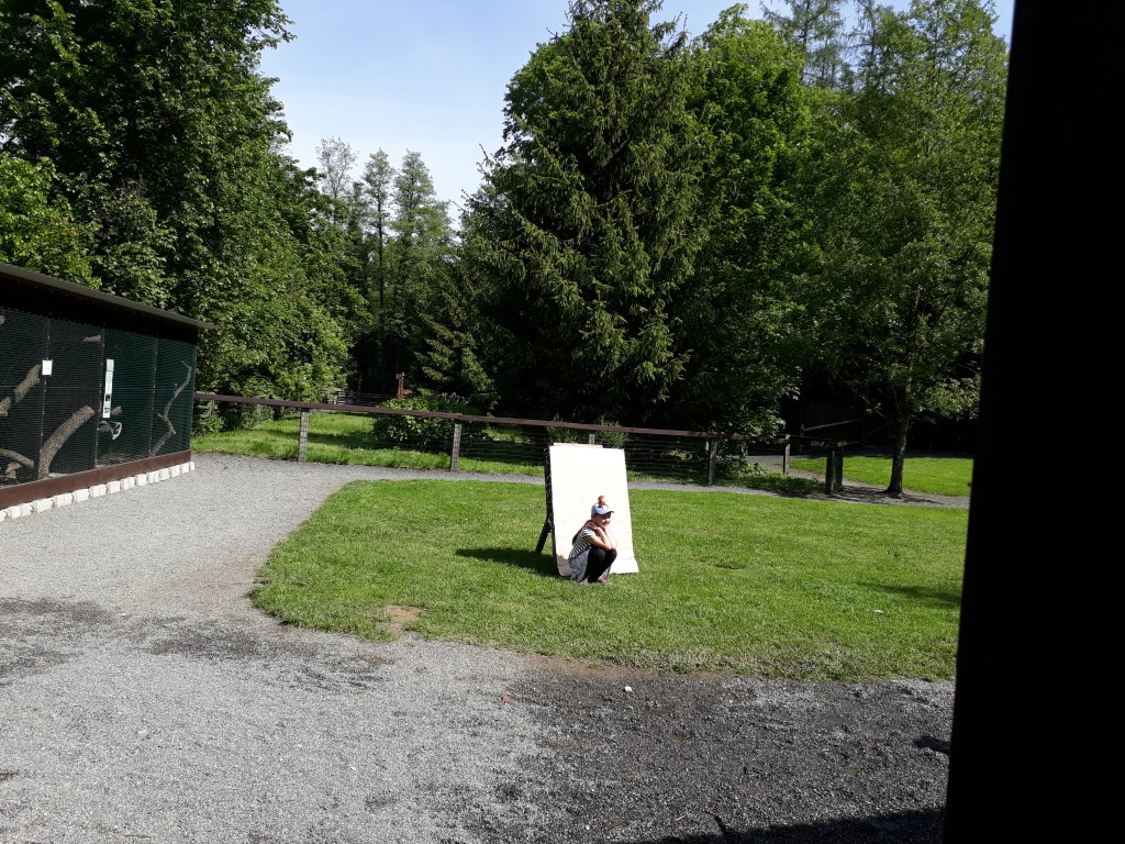 20190524_103538.jpg