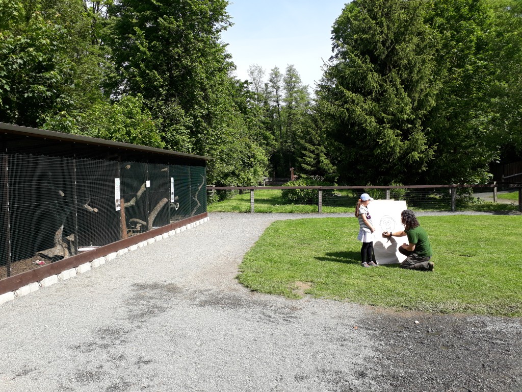 20190524_103658.jpg