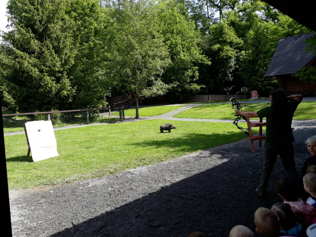 20190524_103744.jpg
