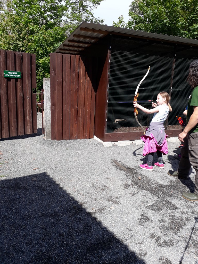 20190524_104341.jpg