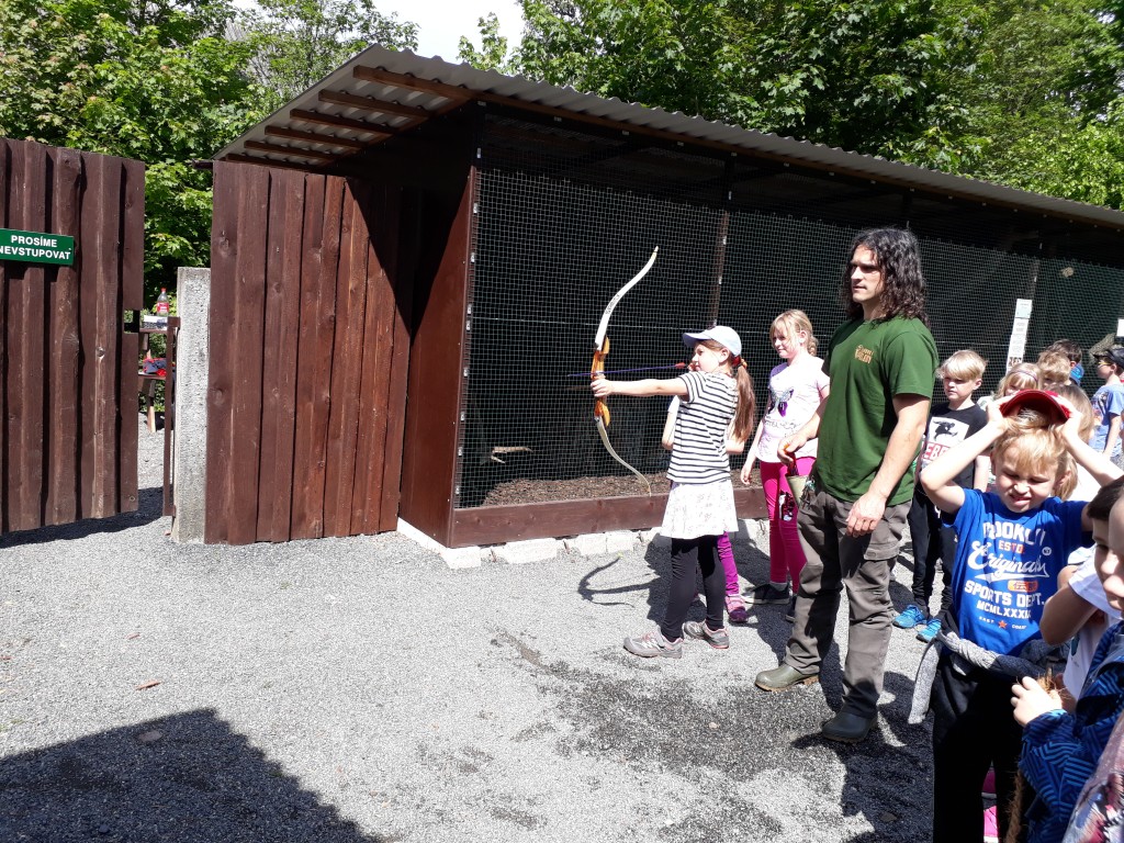 20190524_104730.jpg