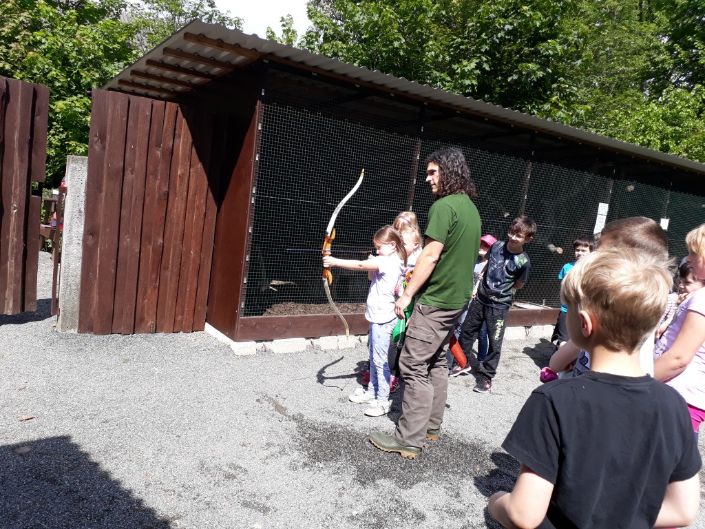 20190524_104847.jpg