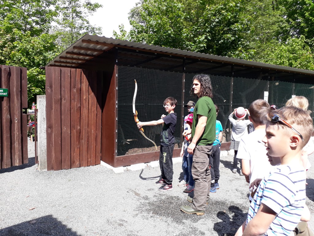 20190524_105003.jpg