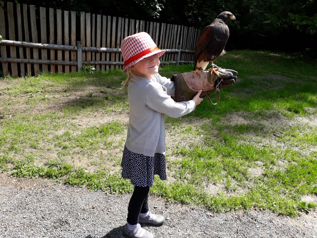 20190524_110304.jpg
