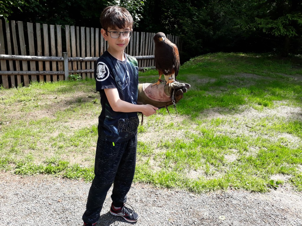 20190524_110631.jpg