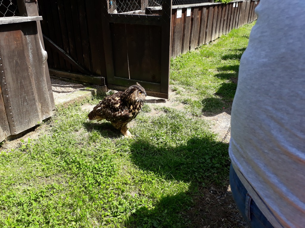 20190524_113736.jpg