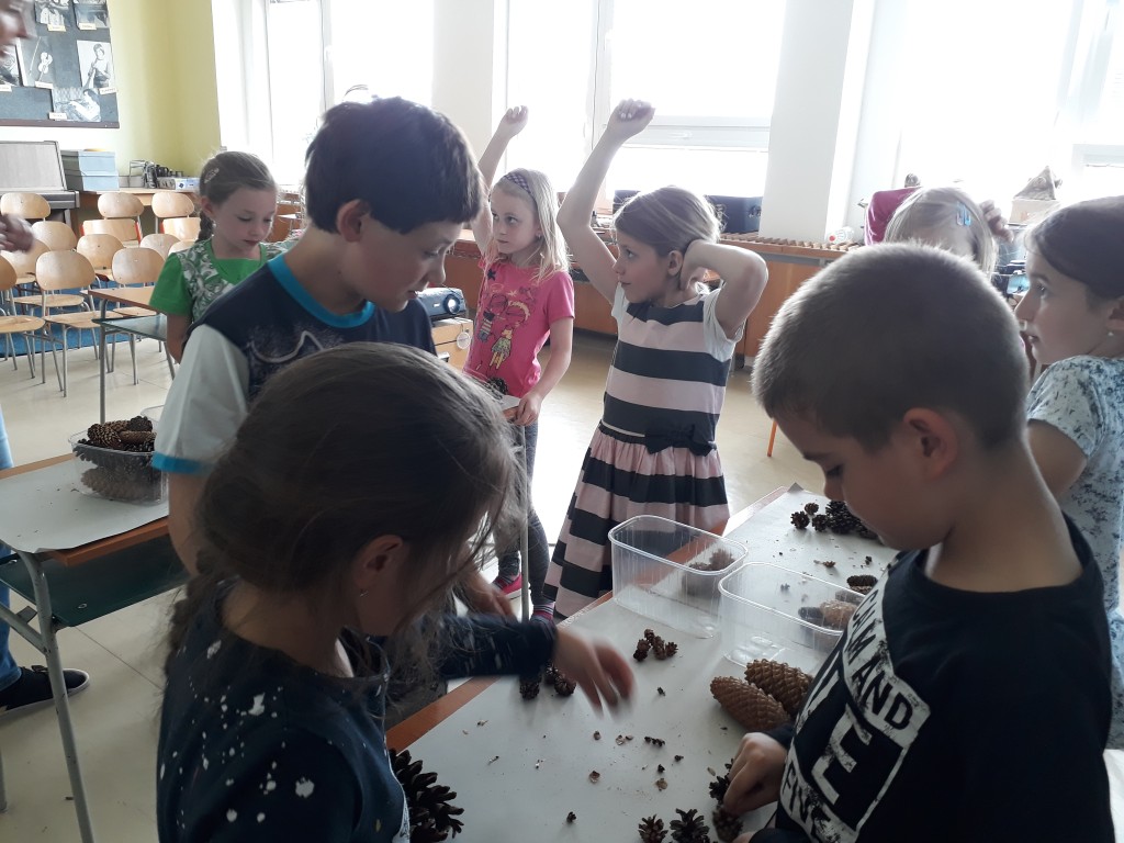 20190527_101137.jpg