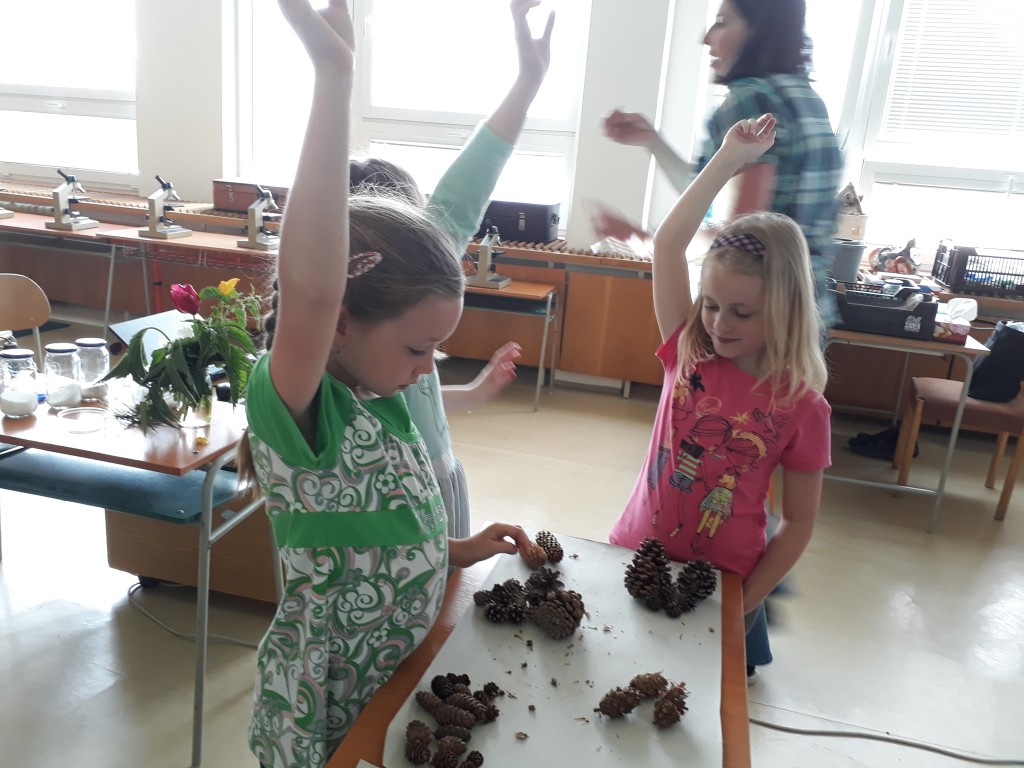 20190527_101254.jpg