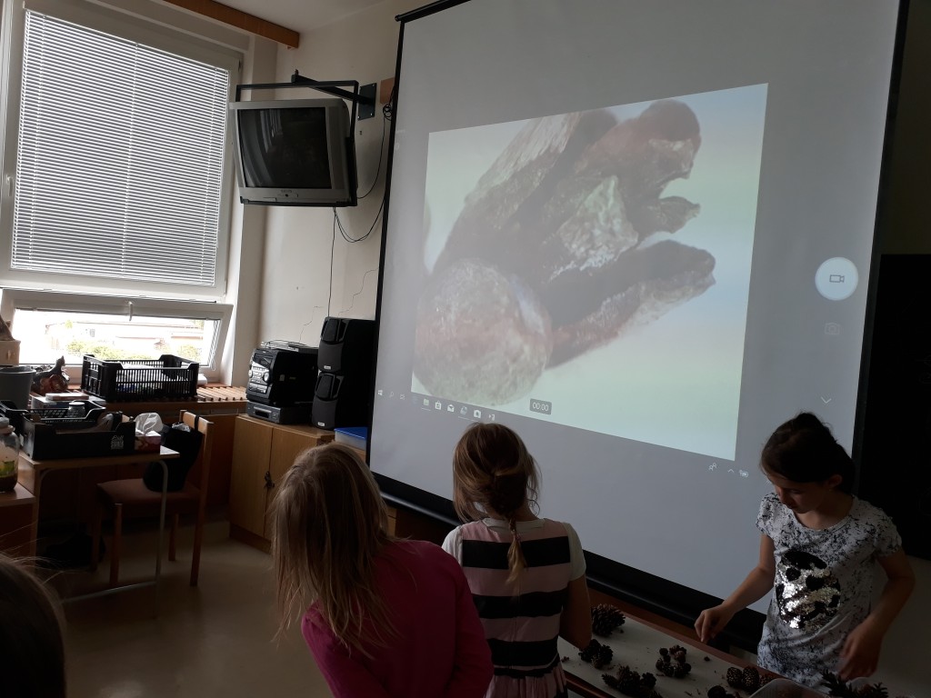 20190527_101443.jpg