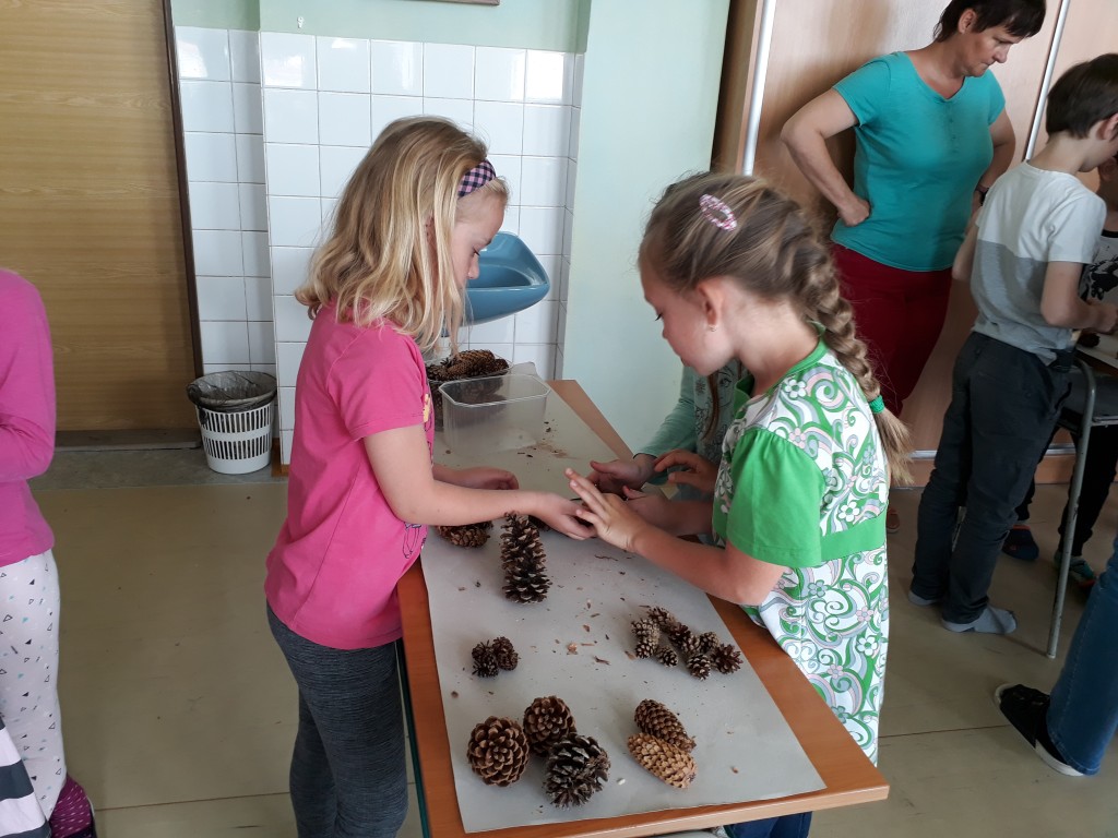 20190527_101555.jpg