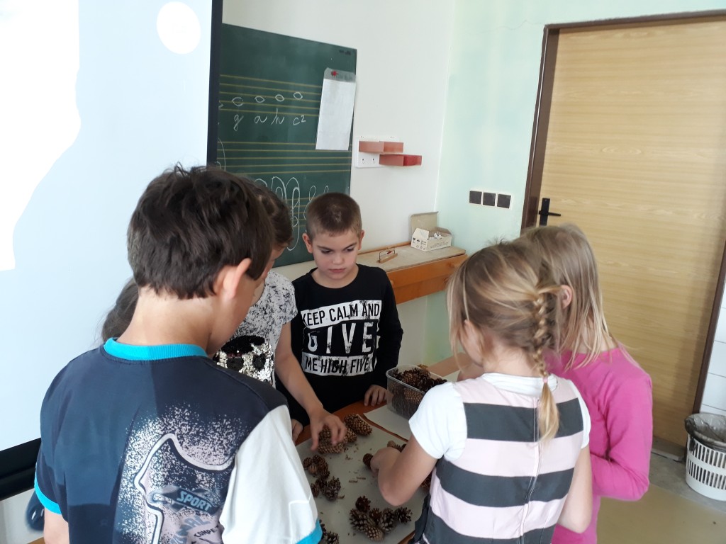 20190527_101559.jpg