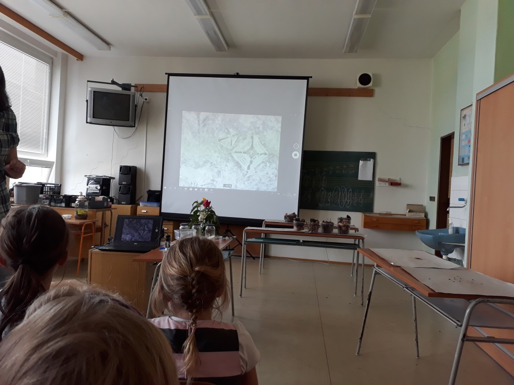 20190527_102704.jpg