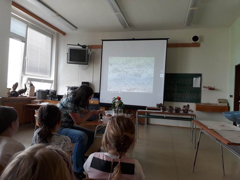 20190527_102921.jpg