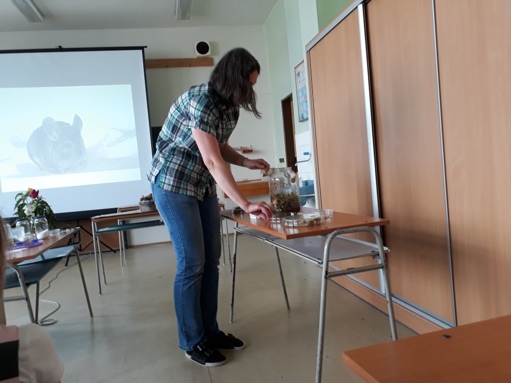 20190527_103512.jpg