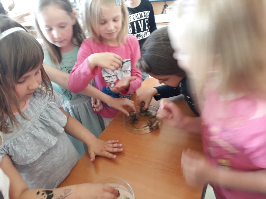 20190527_104450.jpg